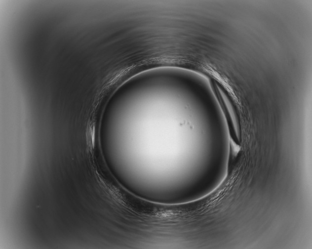 X0000096980062200802081416