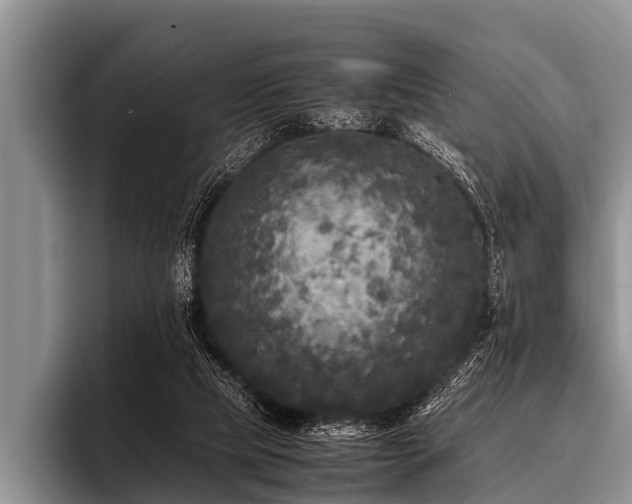 X0000096980065200802081416