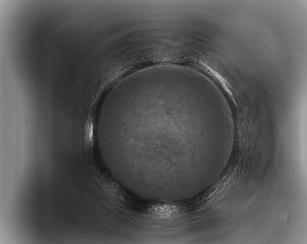 X0000096980067200802081416