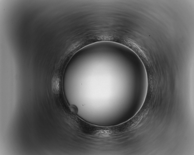 X0000096980071200802081416