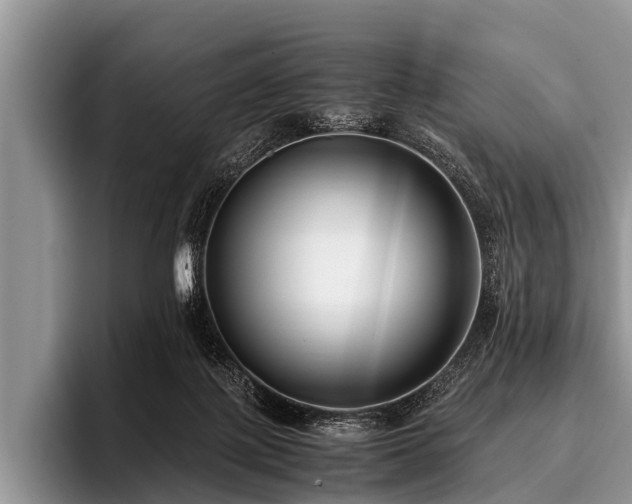 X0000096980075200802081416