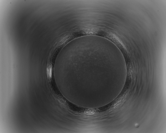 X0000096980076200802081416