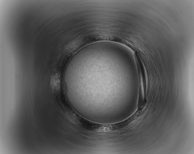 X0000096980080200802081416