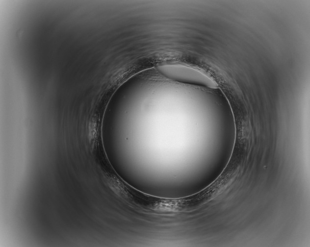 X0000096980084200802081416