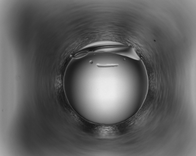 X0000096980085200802081416