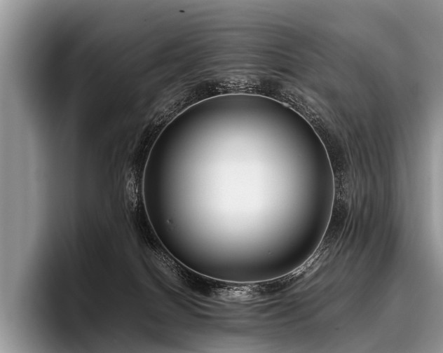 X0000096980086200802081416