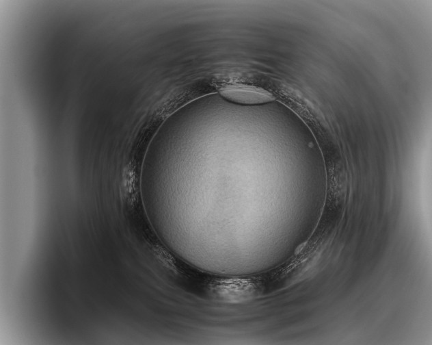 X0000096980087200802081416