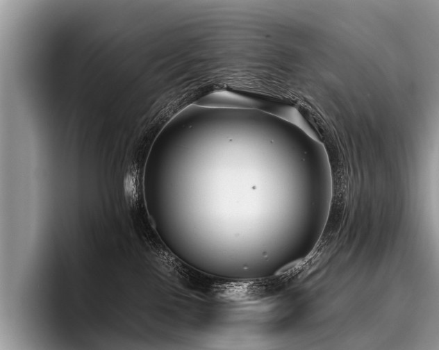 X0000096980090200802081416