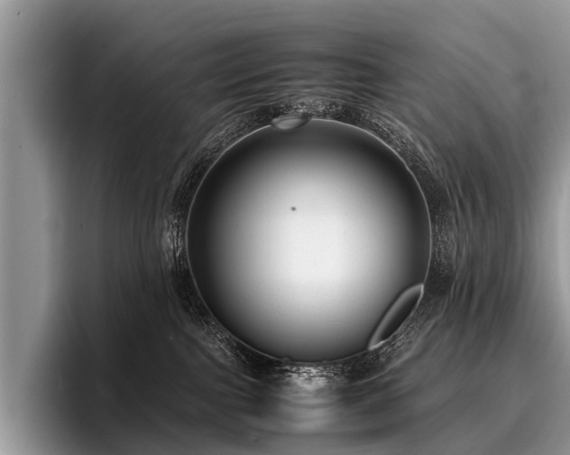 X0000096980091200802081416