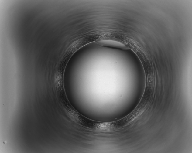 X0000096980092200802081416