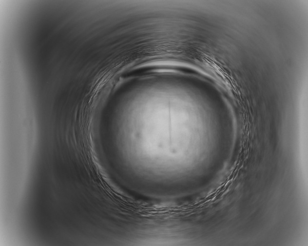 X0000096980097200802081415