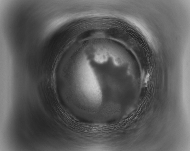 X0000096980099200802081415