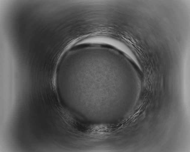 X0000096980100200802081415