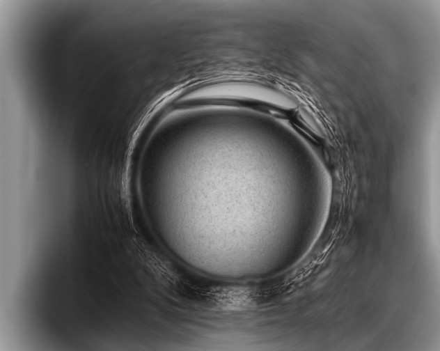 X0000096980104200802081415