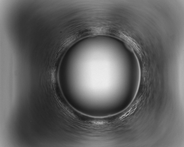 X0000096980105200802081415