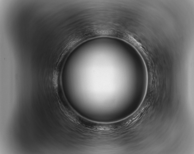 X0000096980106200802081415