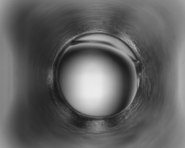 X0000096980108200802081415