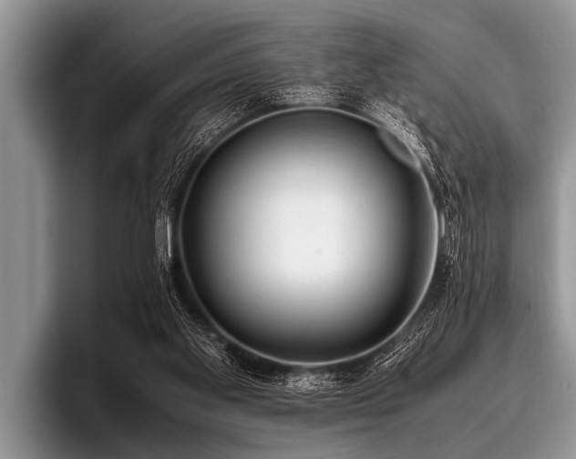 X0000096980109200802081415