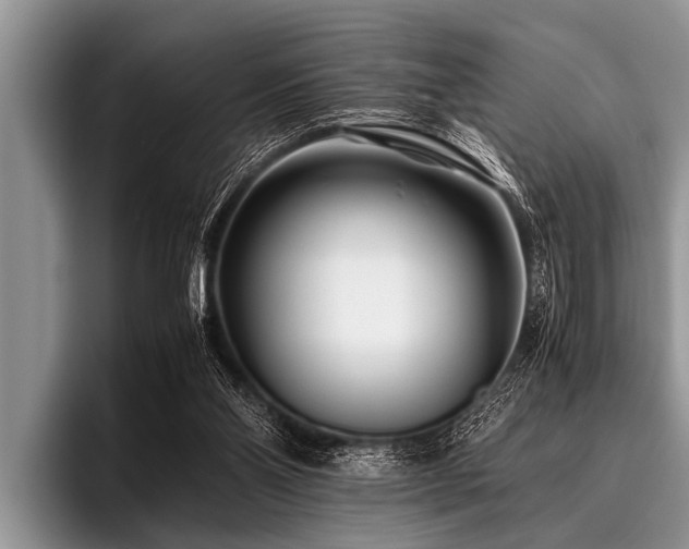 X0000096980110200802081415