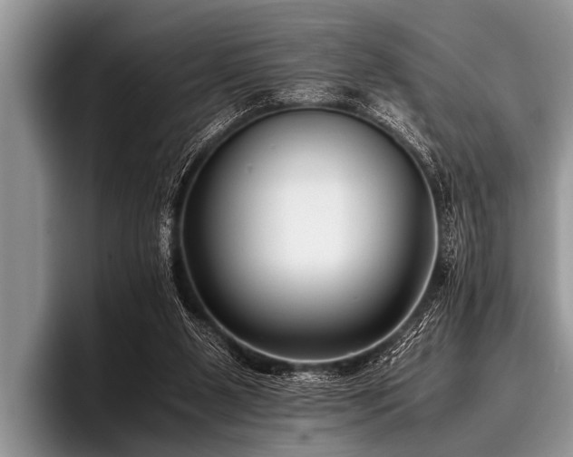 X0000096980111200802081415