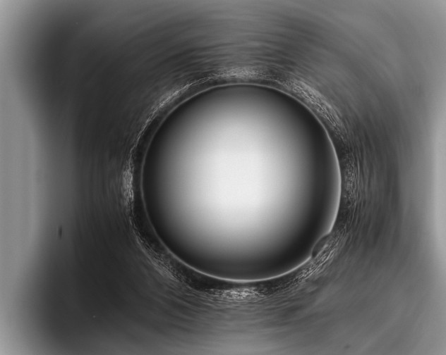 X0000096980112200802081415