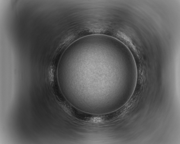 X0000096980114200802081415