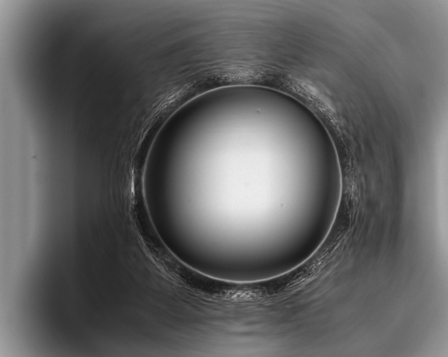 X0000096980115200802081415