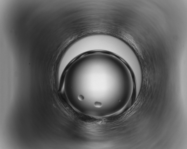 X0000096980116200802081415