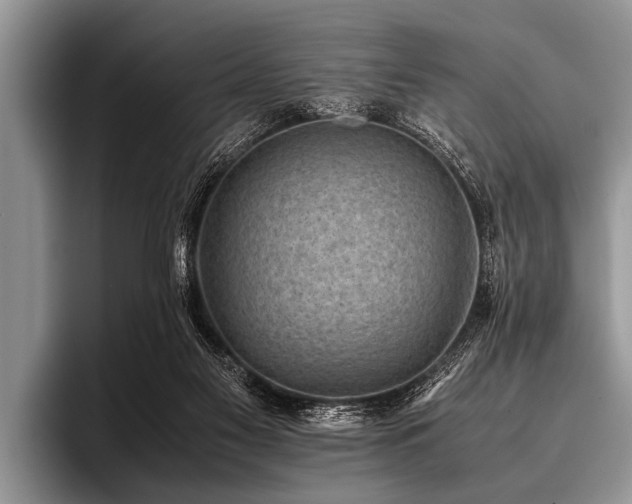 X0000096980117200802081415