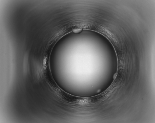 X0000096980118200802081415