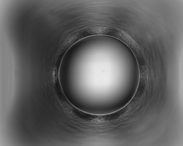 X0000096980119200802081415