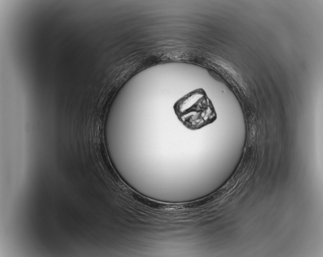 X0000096980121200802081415