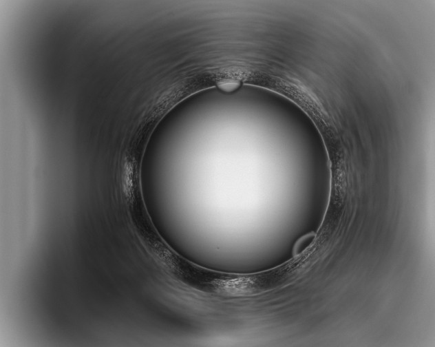 X0000096980122200802081415