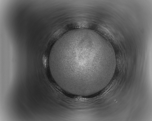 X0000096980123200802081415