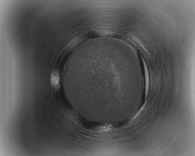 X0000096980124200802081415