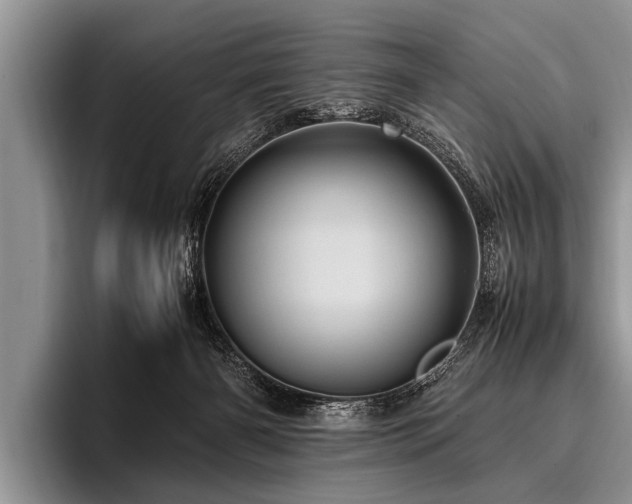 X0000096980126200802081415