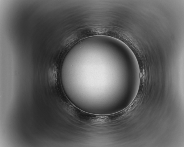 X0000096980128200802081415