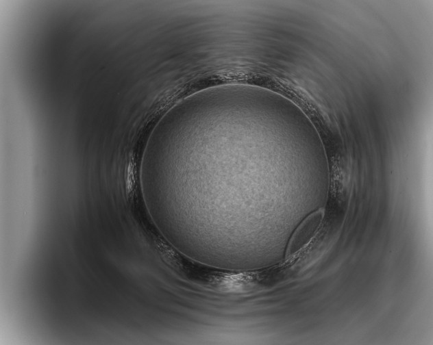 X0000096980130200802081415