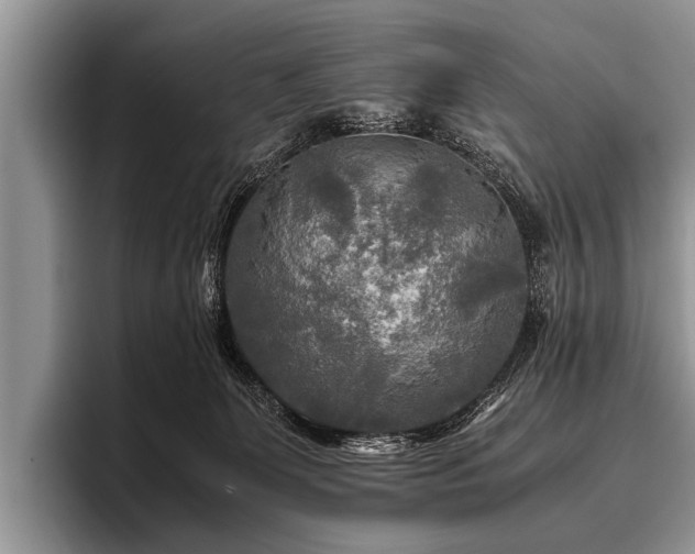 X0000096980131200802081415