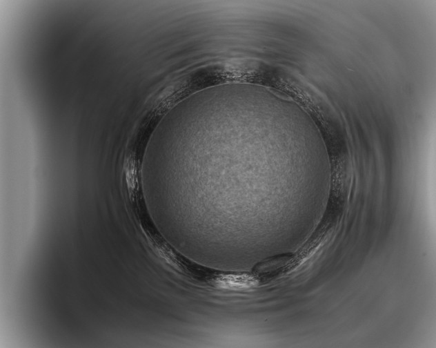 X0000096980137200802081415