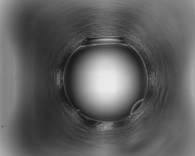 X0000096980138200802081415