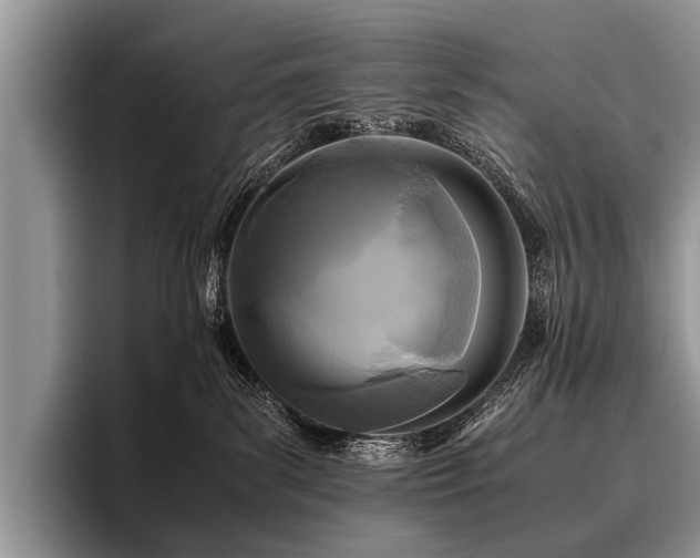 X0000096980139200802081415