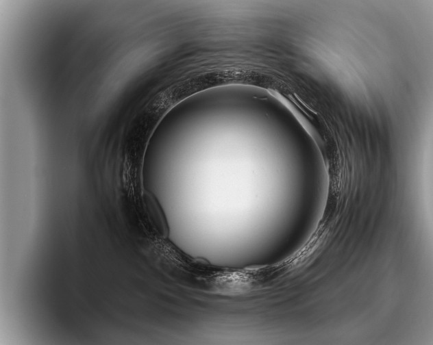 X0000096980140200802081415