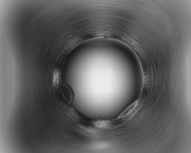 X0000096980142200802081415