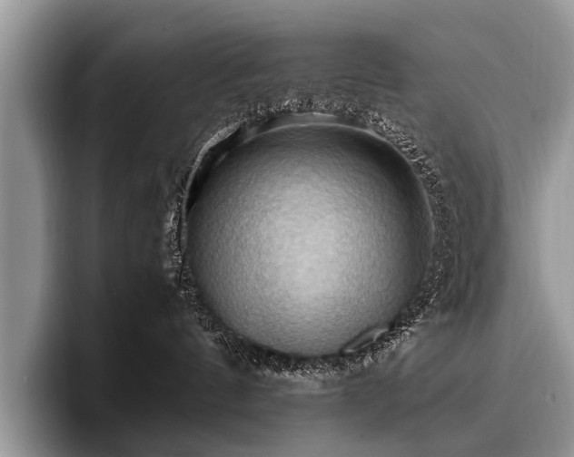 X0000096980144200802081415