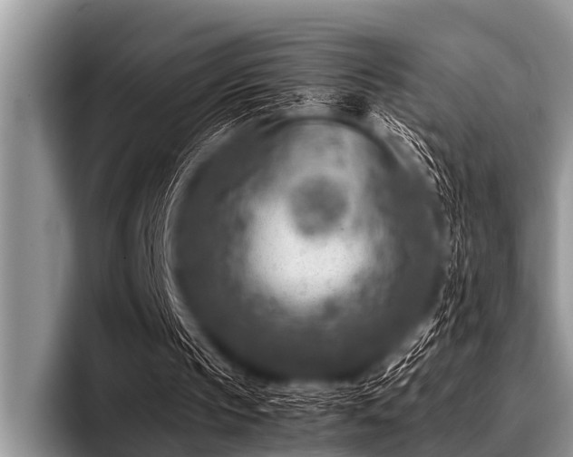 X0000096980145200802081414