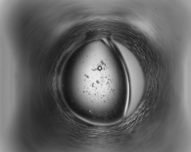 X0000096980146200802081414