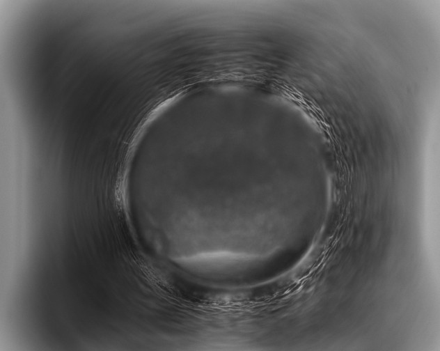 X0000096980147200802081414