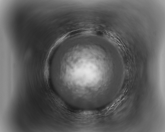 X0000096980149200802081414