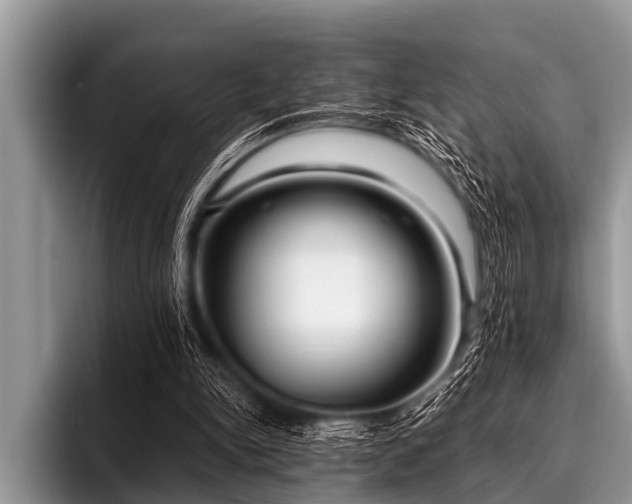 X0000096980150200802081414